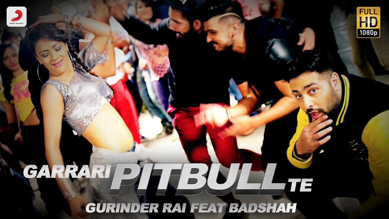 Garrari Pitbull Te (Title) - Song Cover Image