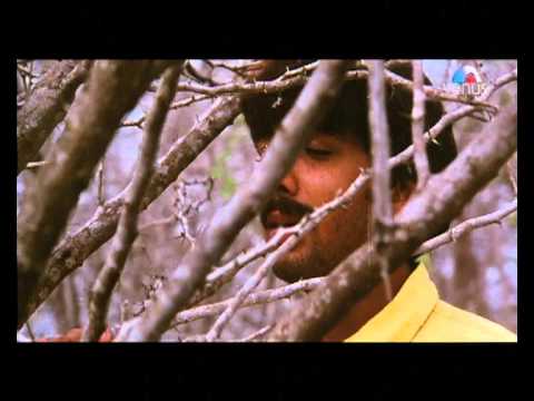 O Meri Jaan Dil Ho Gaya Tera - Song Cover Image
