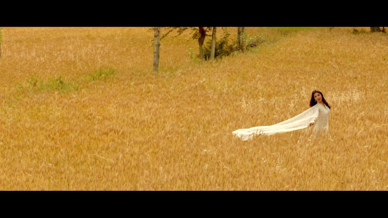 Dil Pagla - Song Cover Image