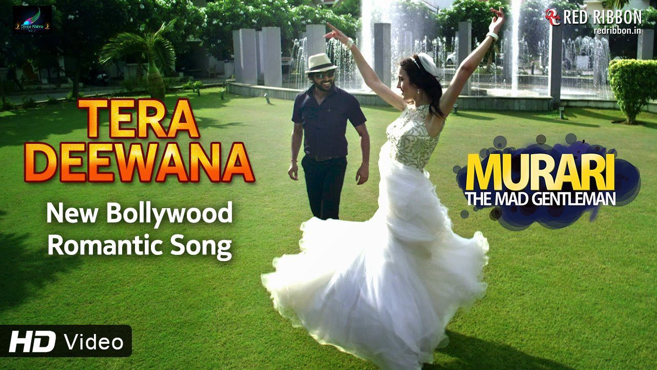 Tera Deewana - Song Cover Image
