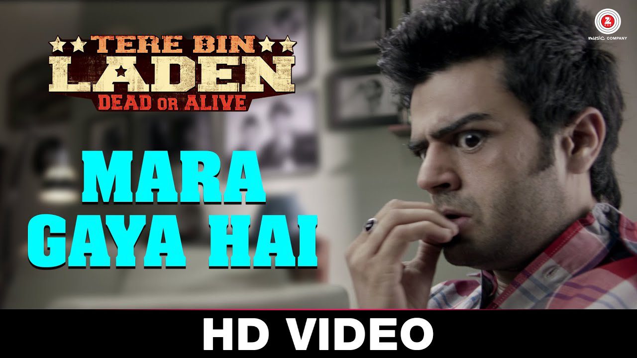 Mara Gaya Hai - Song Cover Image