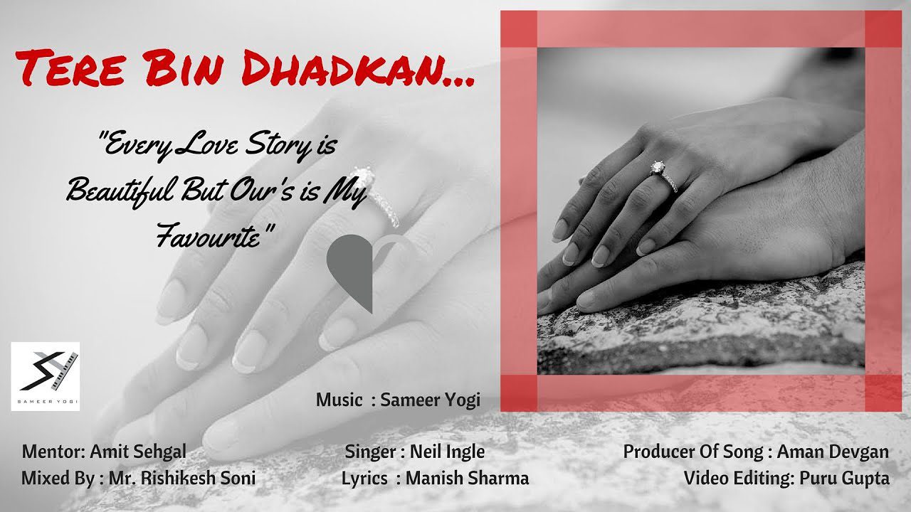Tere Bin Dhadkan (Title) - Song Cover Image