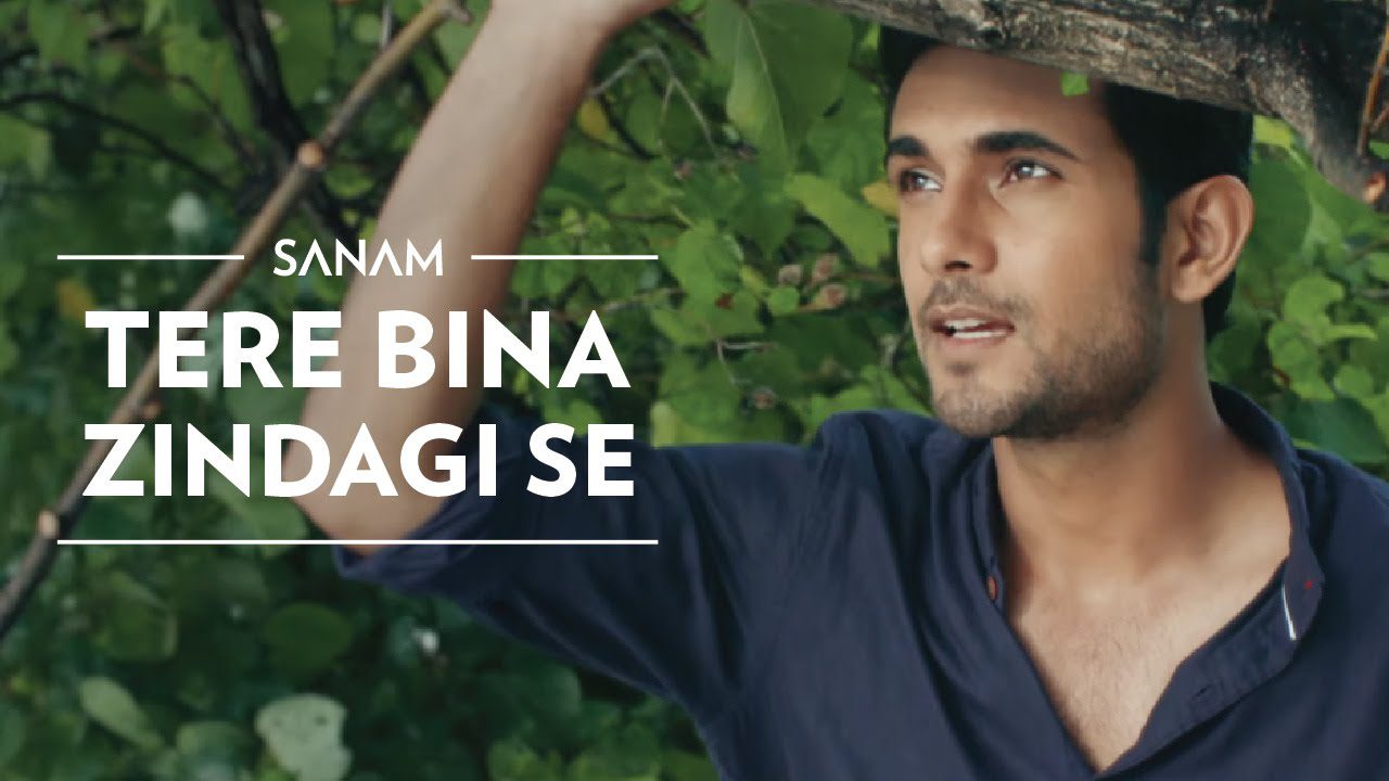 Tere Bina Zindagi Se - Song Cover Image