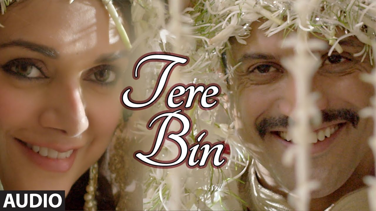 Tere Bin - Song Cover Image