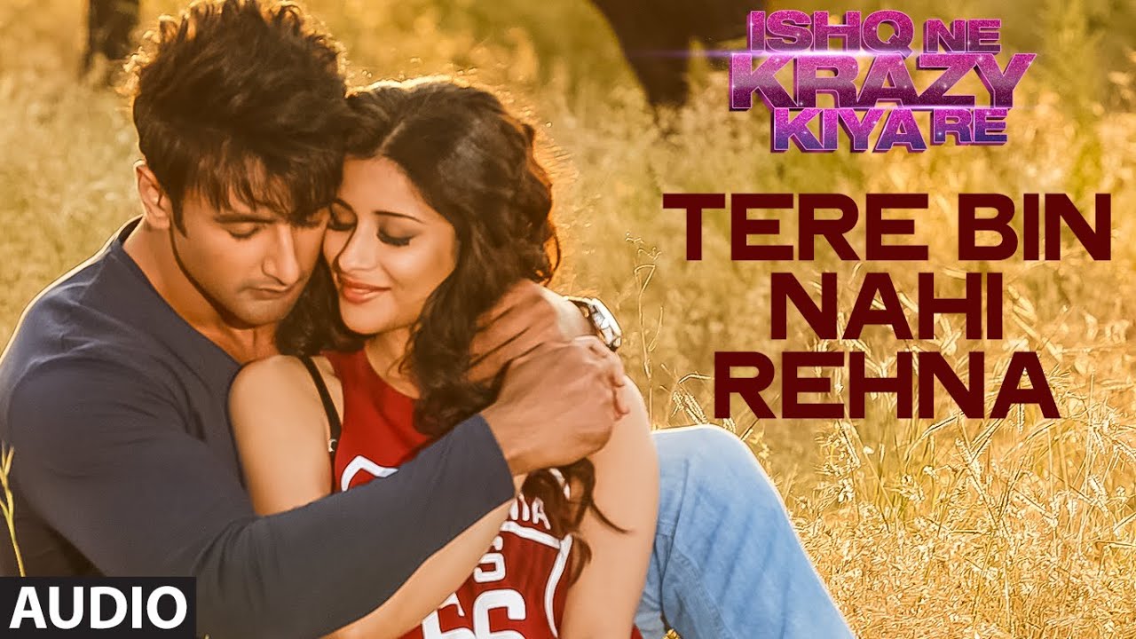 Tere Bin Nahi Rehna - Song Cover Image