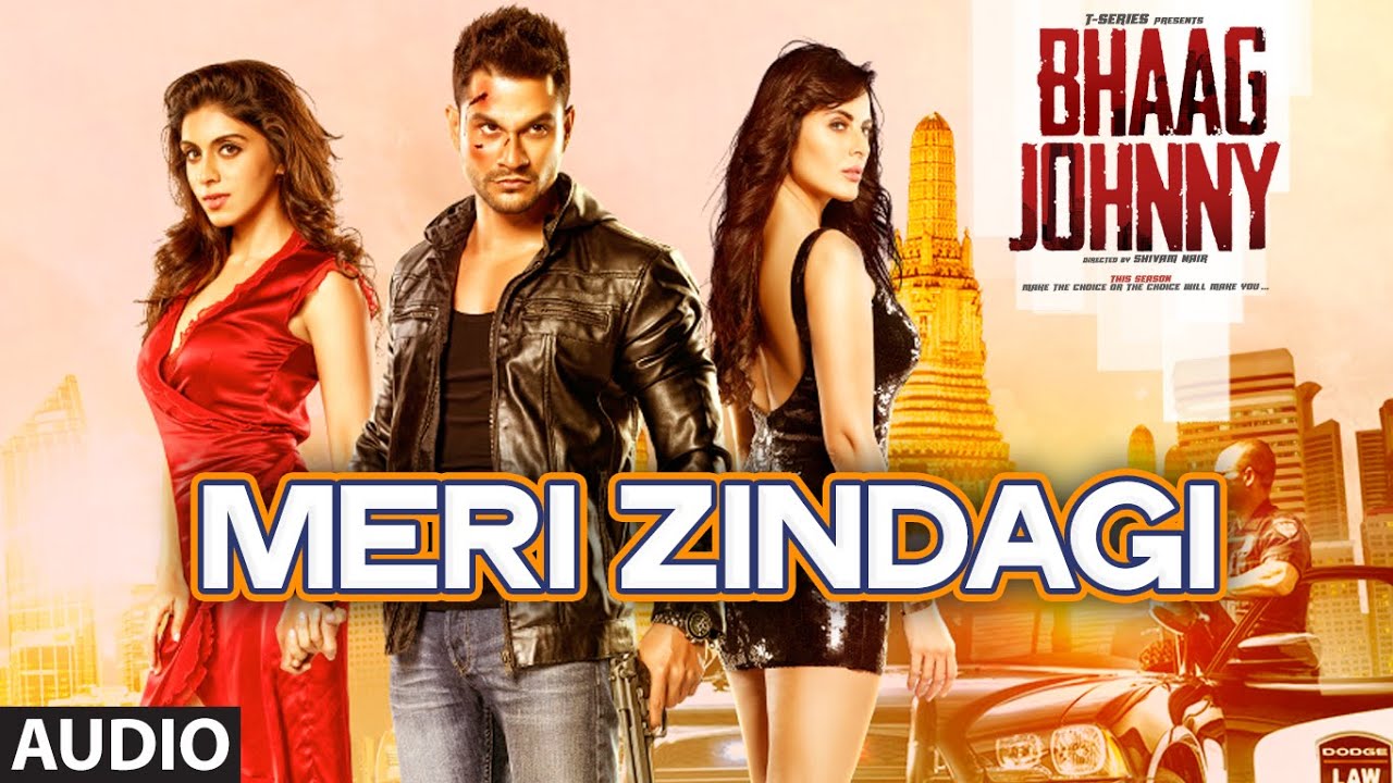 Meri Zindagi - Song Cover Image