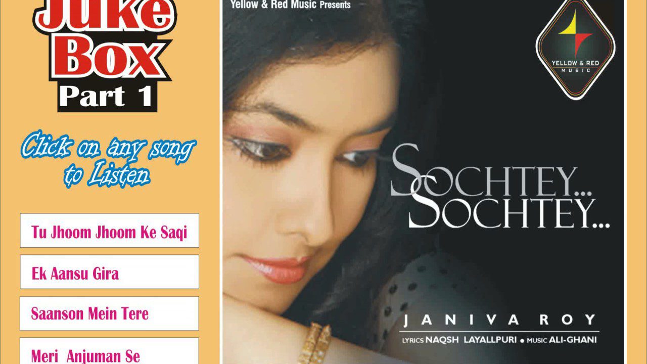 Meri Anjuman Se - Song Cover Image