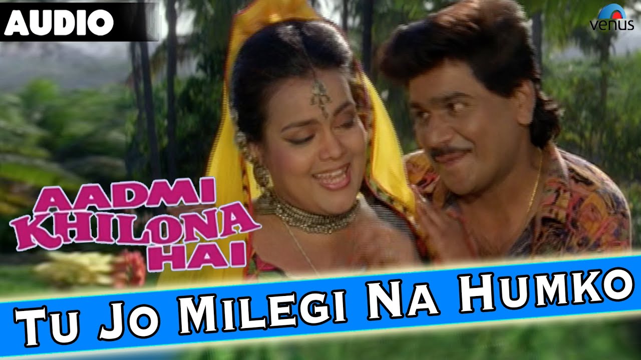 Tu Jo Milegi Na Humko - Song Cover Image