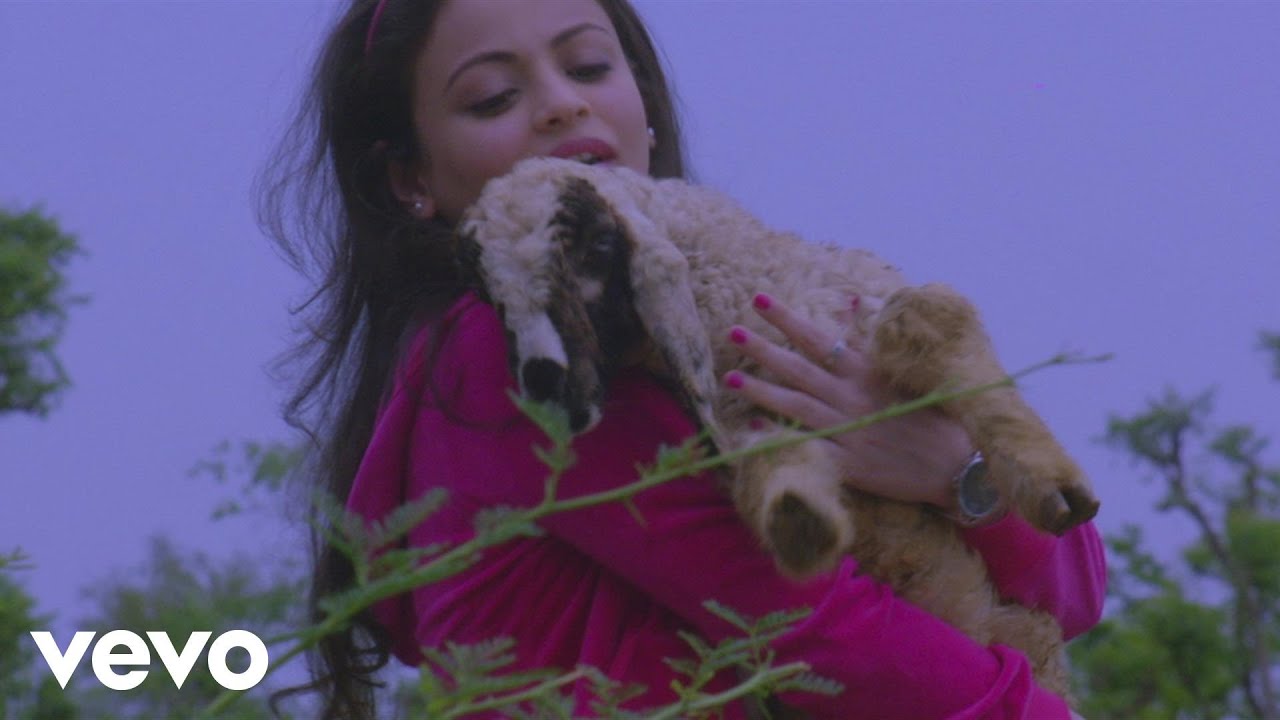 Bhor Bhayo - Song Cover Image