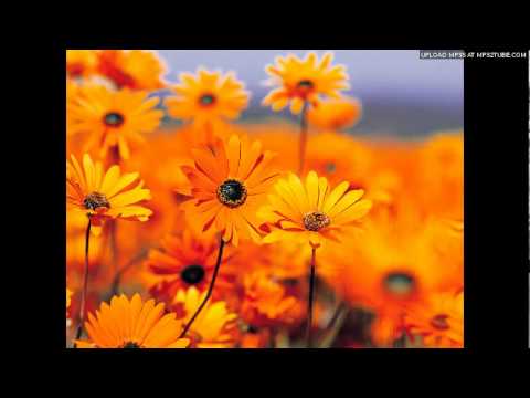 Ye Thandi Hawa Rangeen Fizaa - Song Cover Image