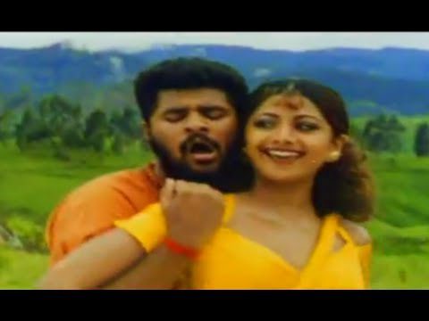 Mil Hi Gayi Sajan Tu - Song Cover Image