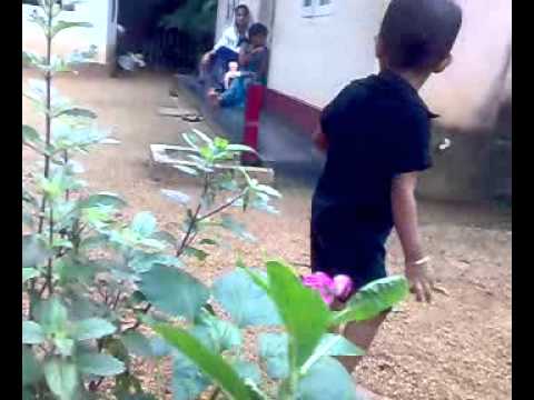 Aanchal Mein Phool - Song Cover Image