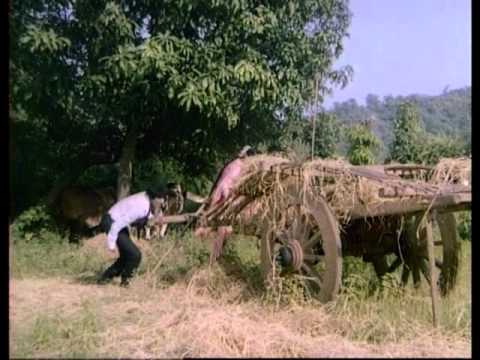 Bheega Bheega Mausam Hai Dildara - Song Cover Image