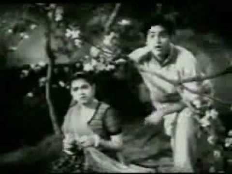 Hum Kochvan Pyaare - Song Cover Image