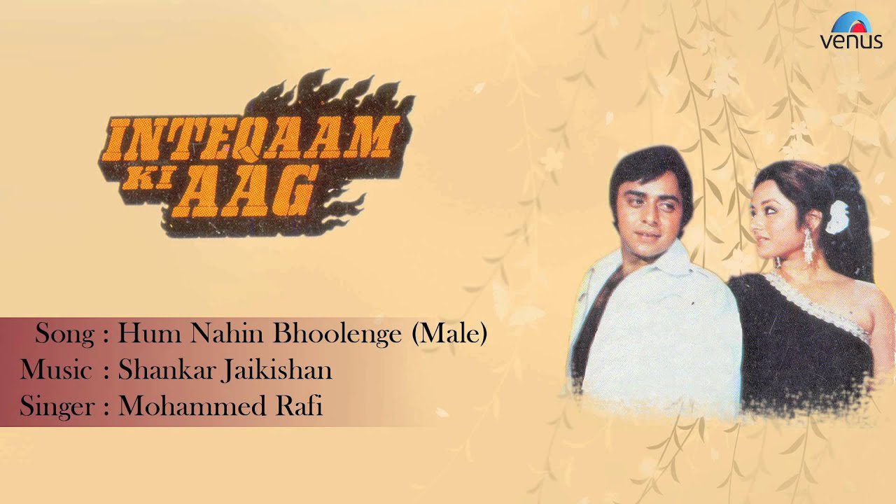 Hum Nahin Bhulenge - Song Cover Image