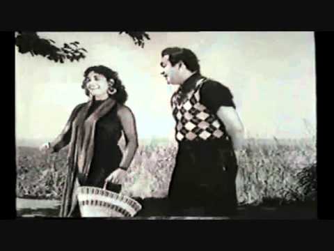 Humein Haal-E-Dil Tumse Kehna Hai - Song Cover Image