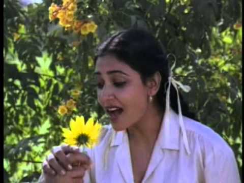 Kaise Ho Paagal - Song Cover Image