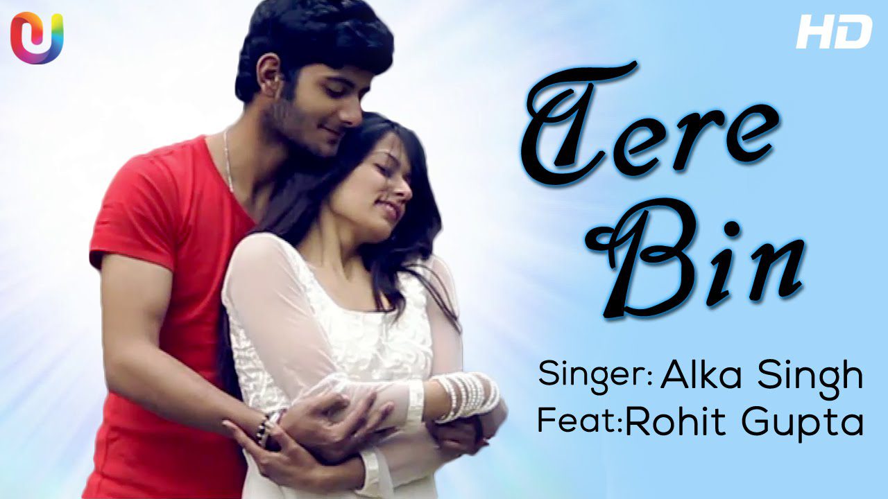 Tere Bin (Title) - Song Cover Image