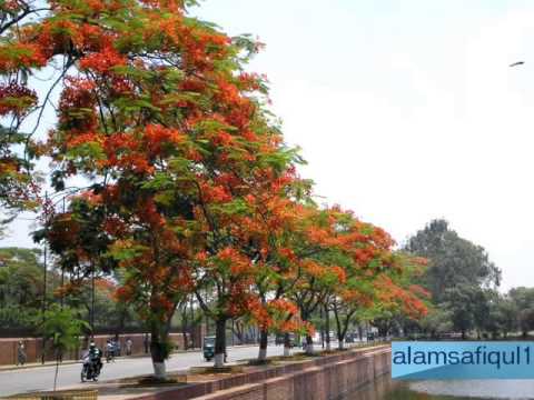 Ek Tum Ho Jise Ham - Song Cover Image