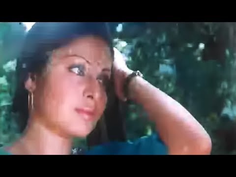 Do Panchhi Do Tinke - Song Cover Image