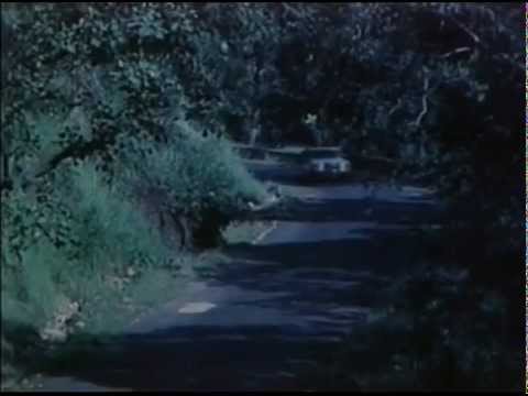 Phir Wahi Fursat Ke Raat Din - Song Cover Image
