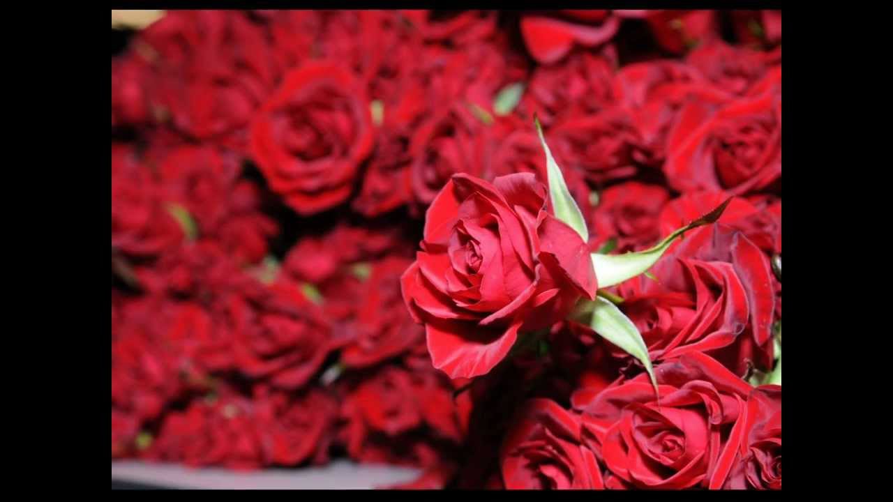 Teekhi Tu Jitni Hai - Song Cover Image