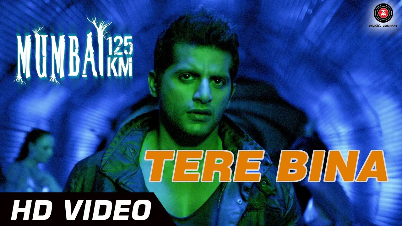 Tere Bina - Song Cover Image