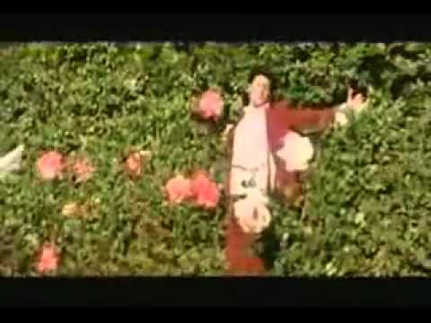 Nachungi Sari Raat Mai - Song Cover Image