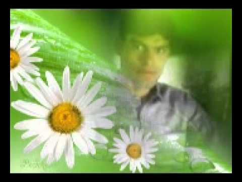 Sharaab Pee Pee Kar - Song Cover Image