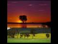 Tere Khayalon Ke Saaye - Song Cover Image