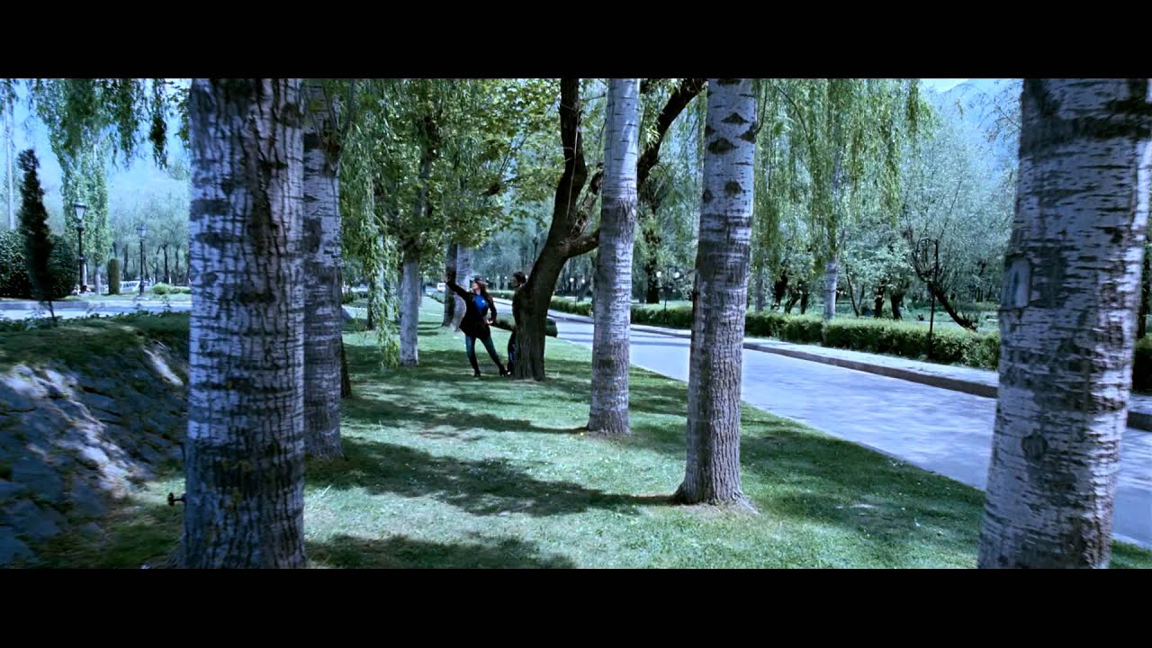 Yeh Zameen - Song Cover Image