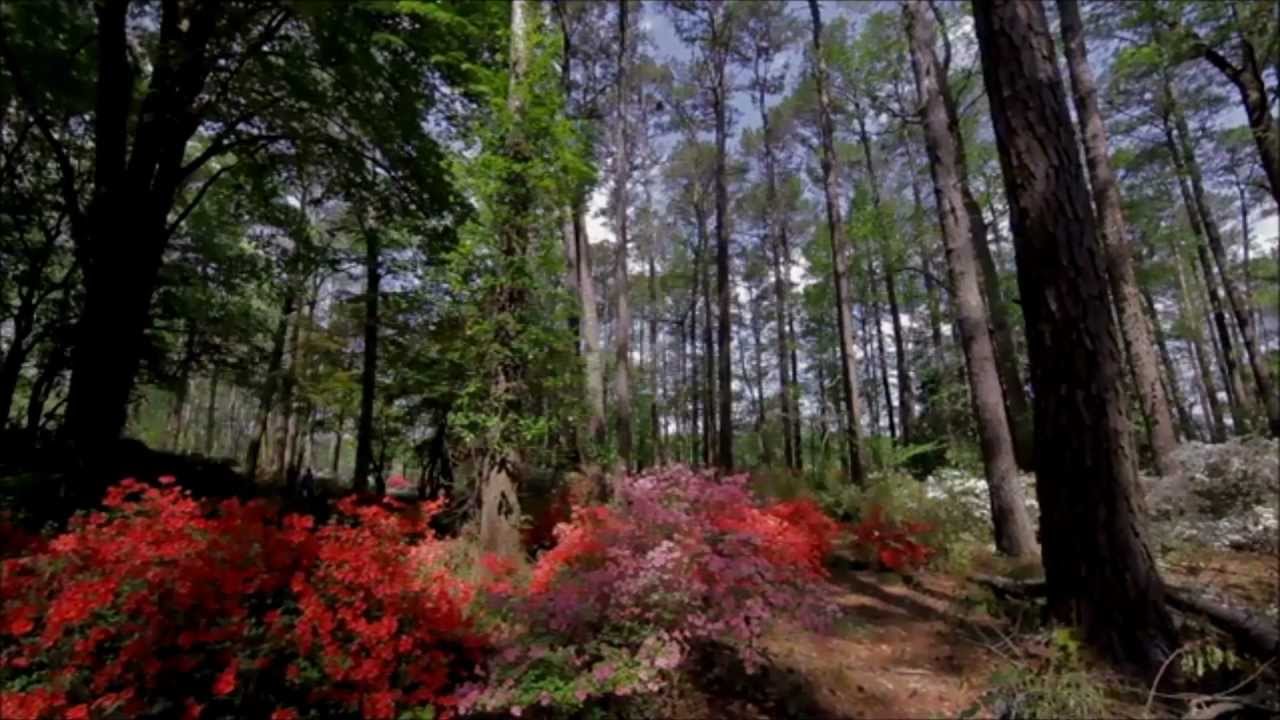 Yeh Bahar Keh Rahi Hai - Song Cover Image