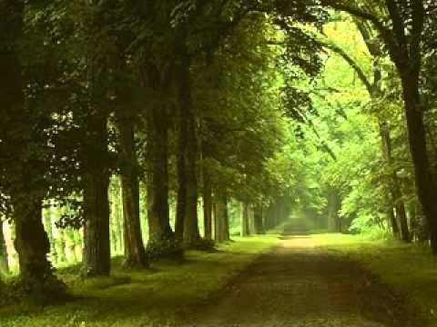 Meri Jaan - Song Cover Image