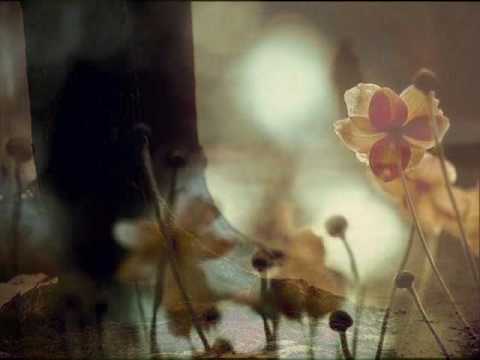 Jo Tumhen Pyar De Sake Apna - Song Cover Image