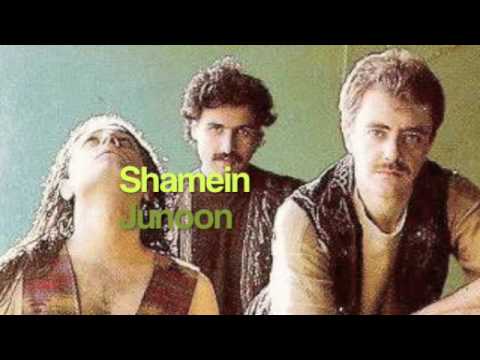 Shamein - Song Cover Image