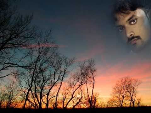 Chaman Ki Baharon Mein - Song Cover Image