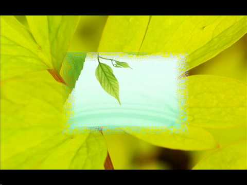 Phir Se Mausam Bahaaron Ka - Song Cover Image