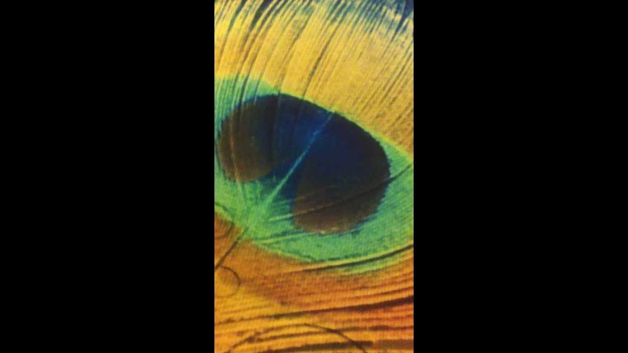 Hey Murlidhar Hey Damodar - Song Cover Image