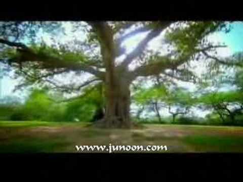 Ghoom Taana - Song Cover Image