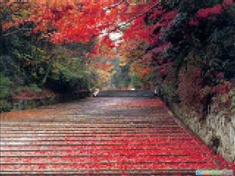 Bulleh Shah - Song Cover Image