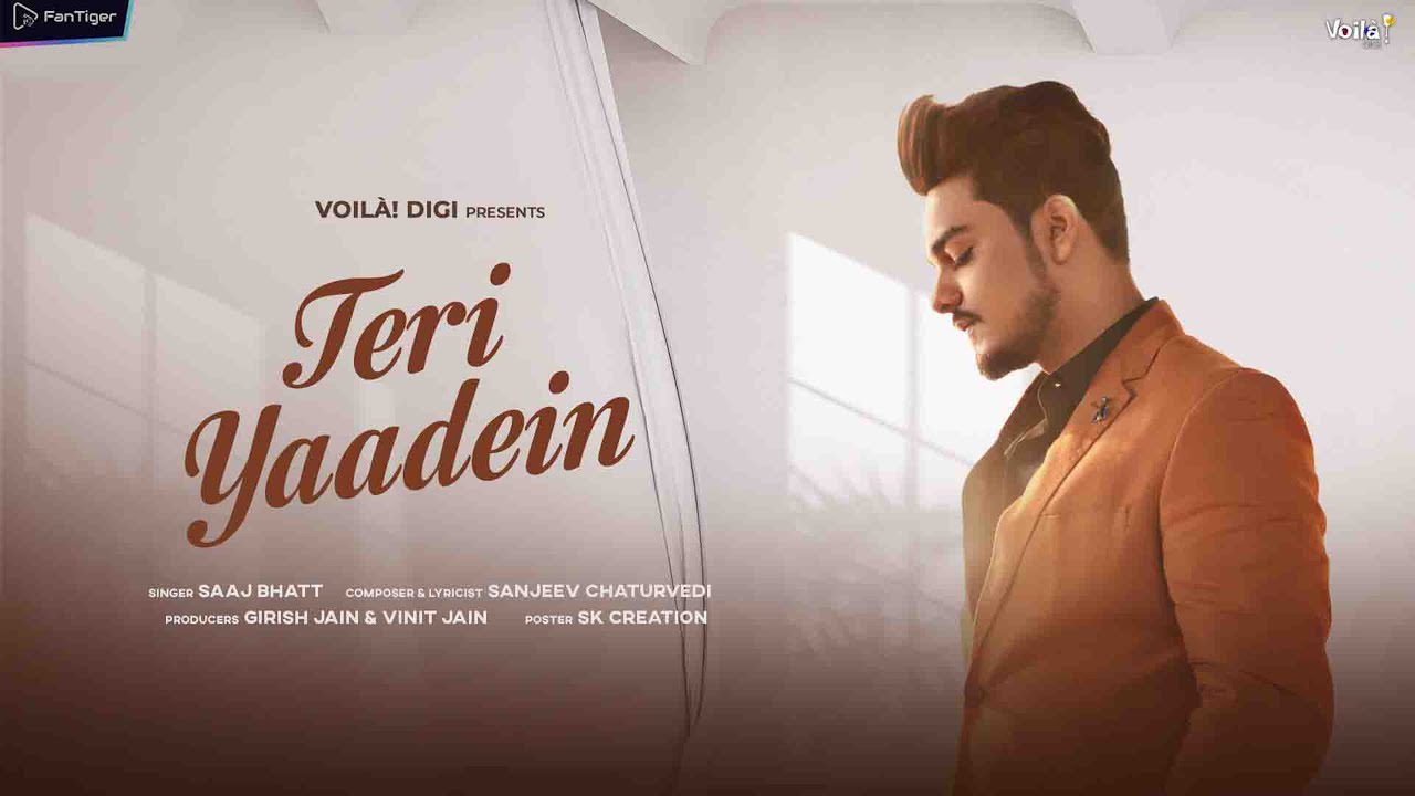 Teri Yaadein - Song Cover Image