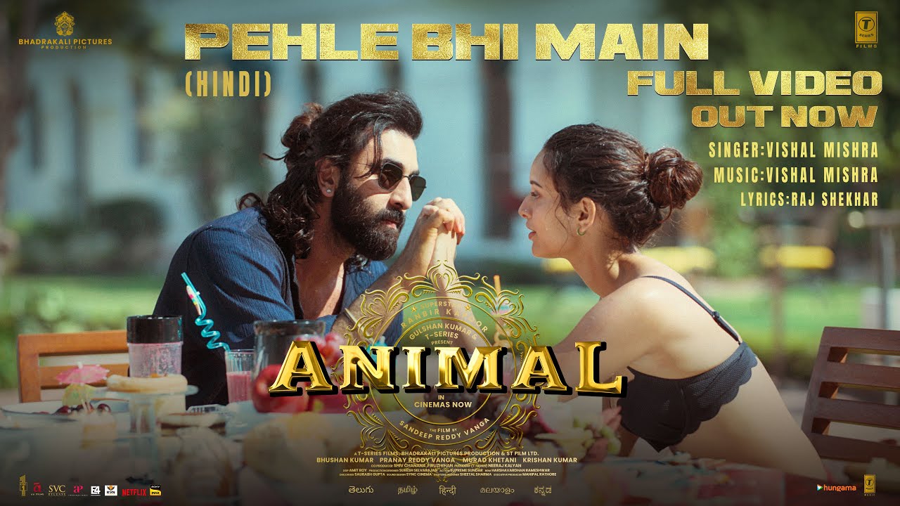 Pehle Bhi Main - Song Cover Image
