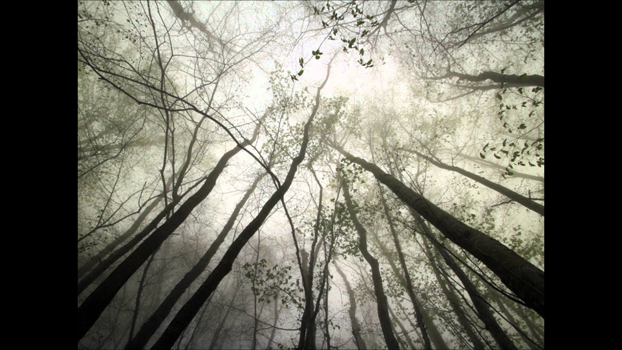 Halki Halki Si Baarish - Song Cover Image