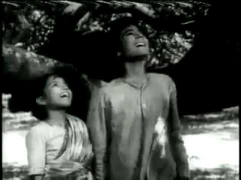 O Albele Panchhi - Song Cover Image