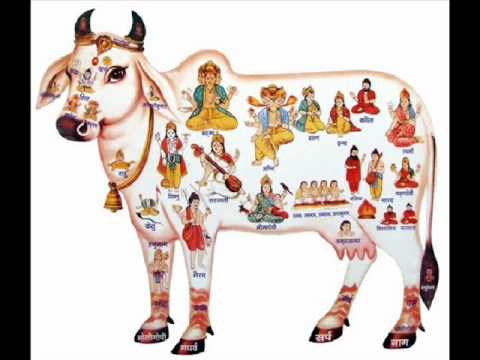 Gaiya Lakho Ki Hai Maiya - Song Cover Image