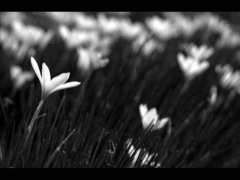 Nihure-Nihure Boharo - Song Cover Image