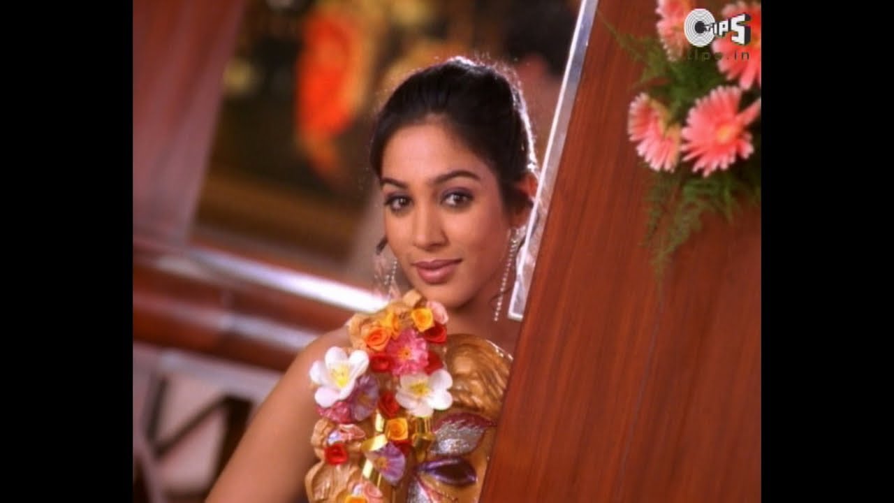 Dil Abhi Bharaa Nahin - Song Cover Image