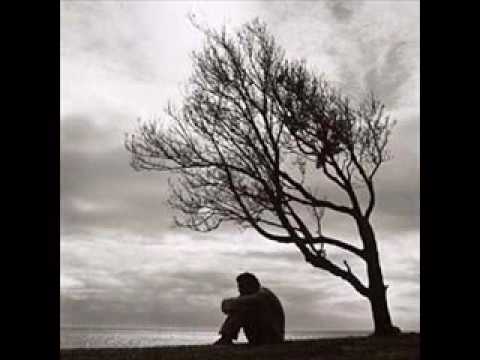 Phir Se - Song Cover Image