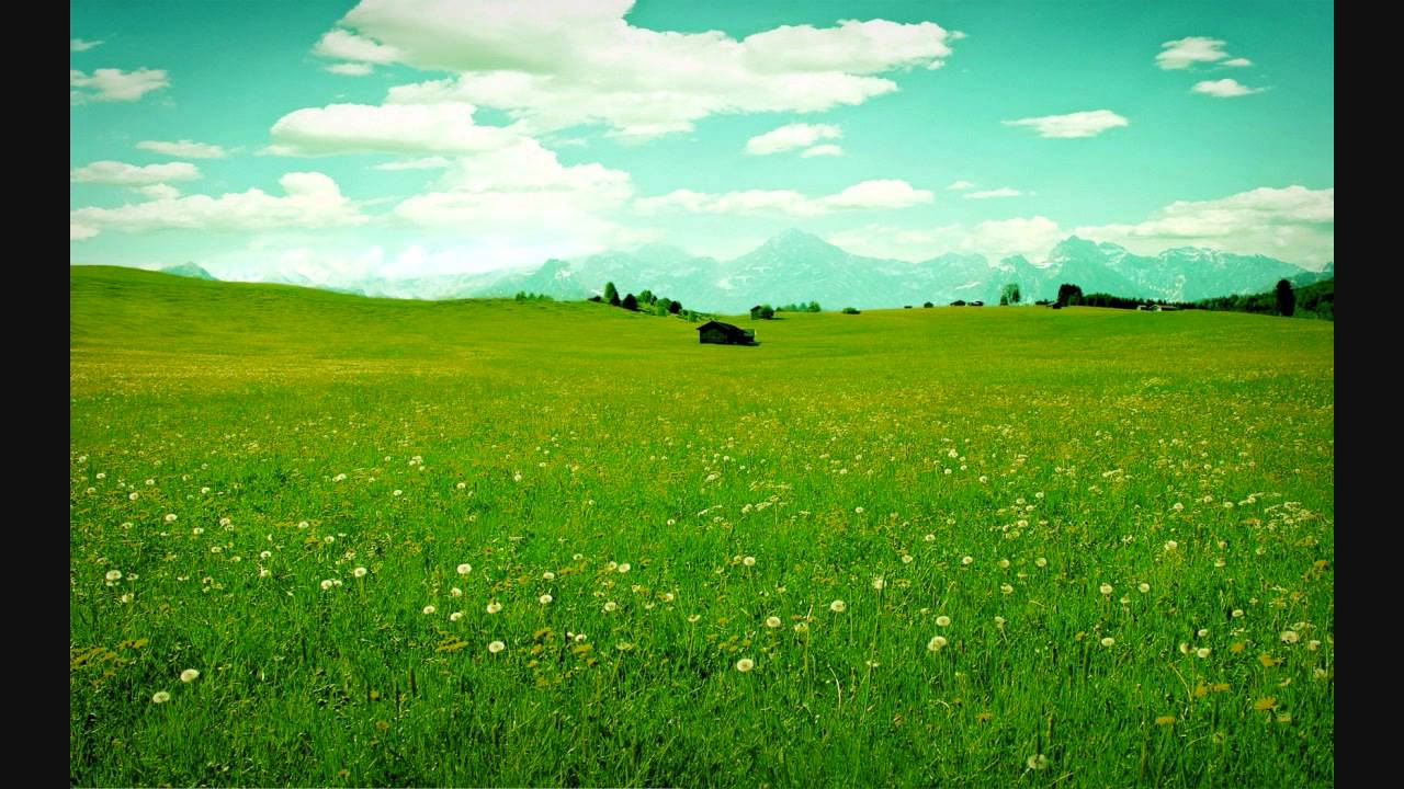 Ho Maro Pichkari - Song Cover Image