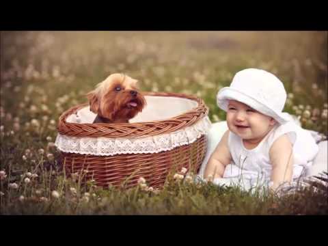 Kabhi Aankh Milaye - Song Cover Image
